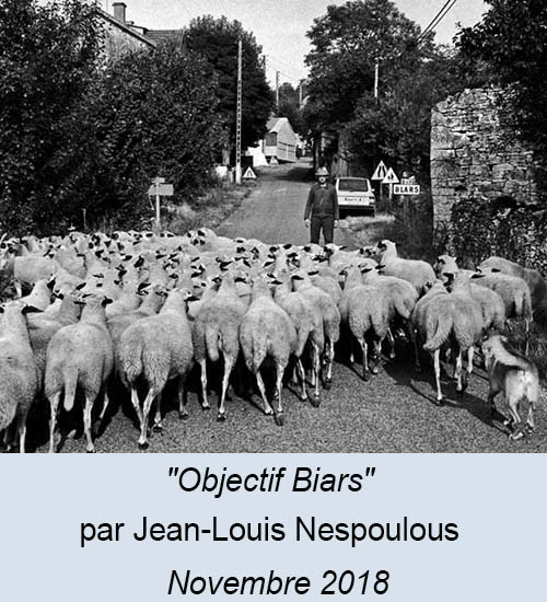 Texte alternaztof